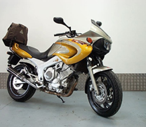 TDM 850